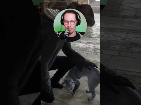 Le chat : l&#039;ami du sorcier Poulet ! 🐔🐱🥰⚡️ #hogwartslegacy #cats #twitchclips #funnycats #catsshorts