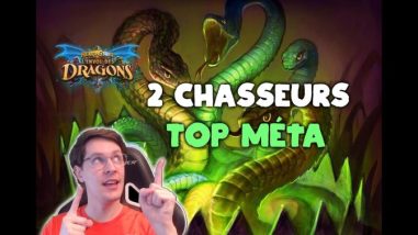 Deux decks chasseur top méta