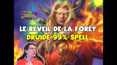 Druide Spell