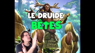 Druide bêtes vendeuse de montures