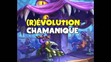 Chaman évolution