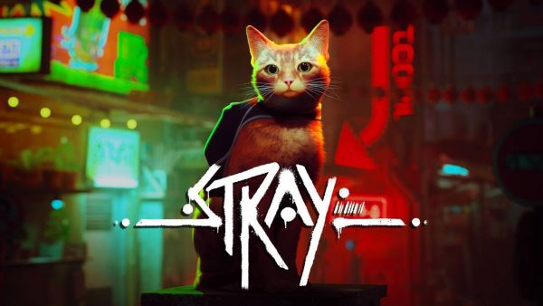 Stray le chat